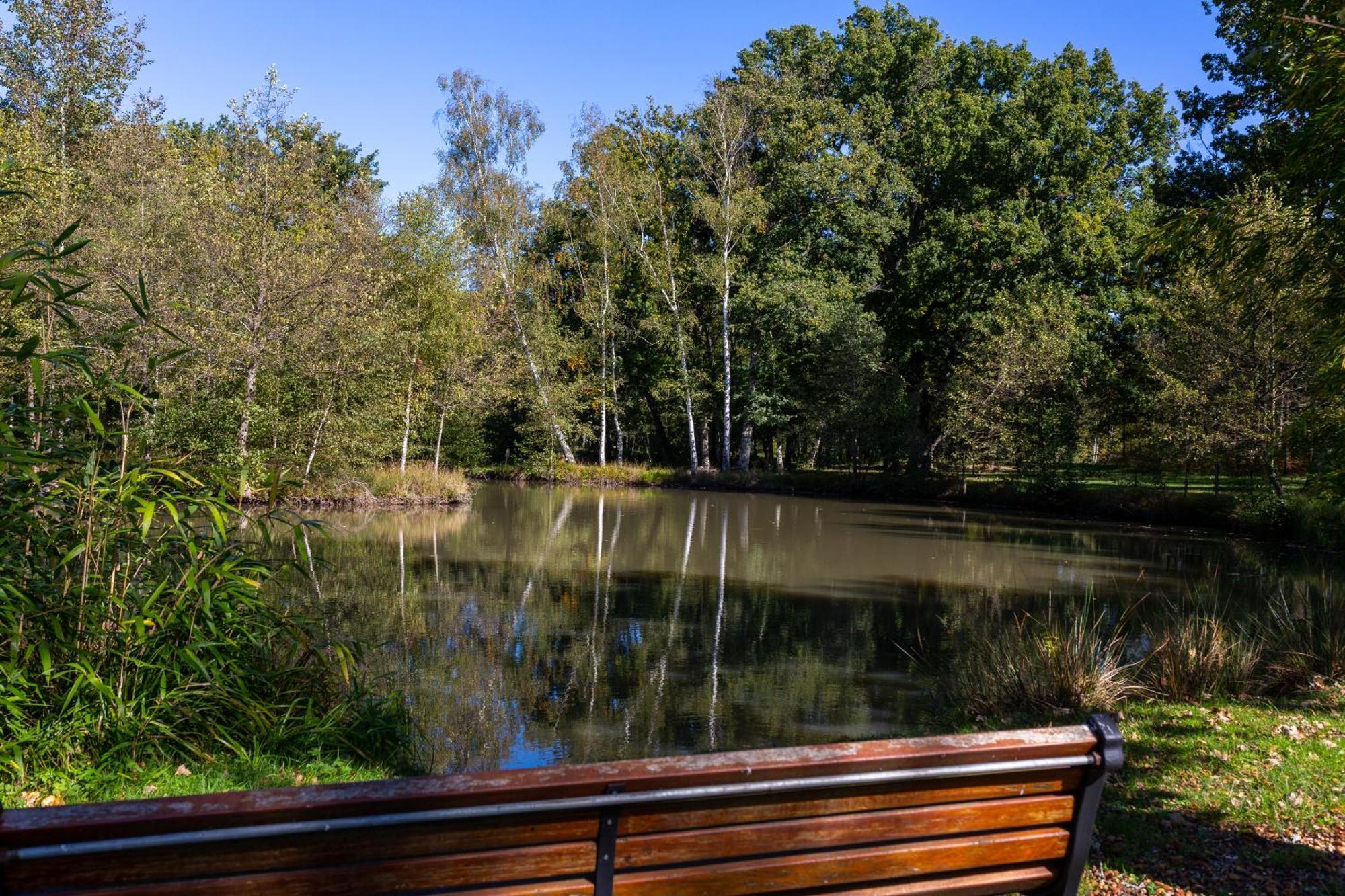 Hotel-Restaurant Domaine De La Grande Garenne Neuvy-sur-Barangeon Dış mekan fotoğraf