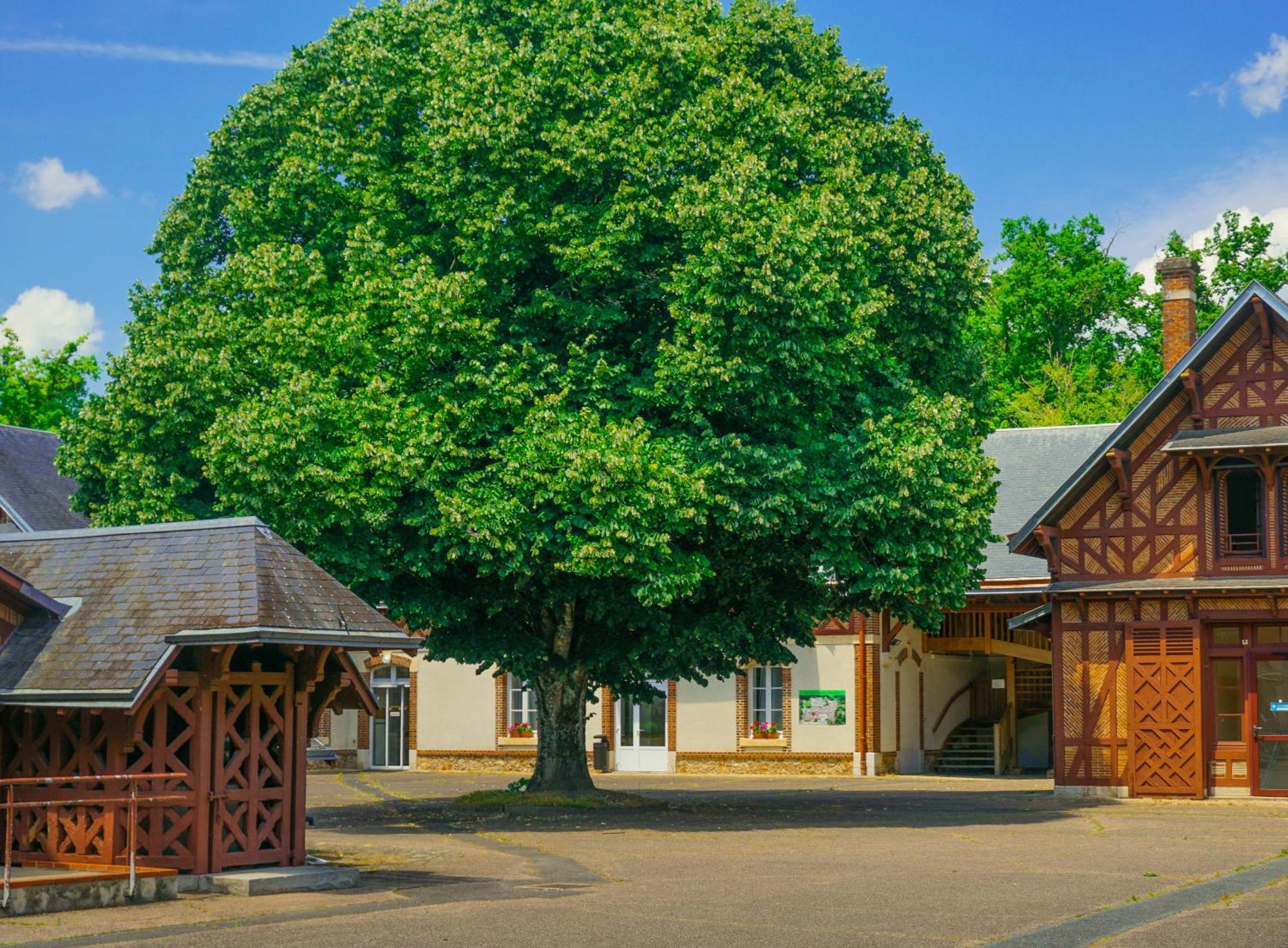Hotel-Restaurant Domaine De La Grande Garenne Neuvy-sur-Barangeon Dış mekan fotoğraf