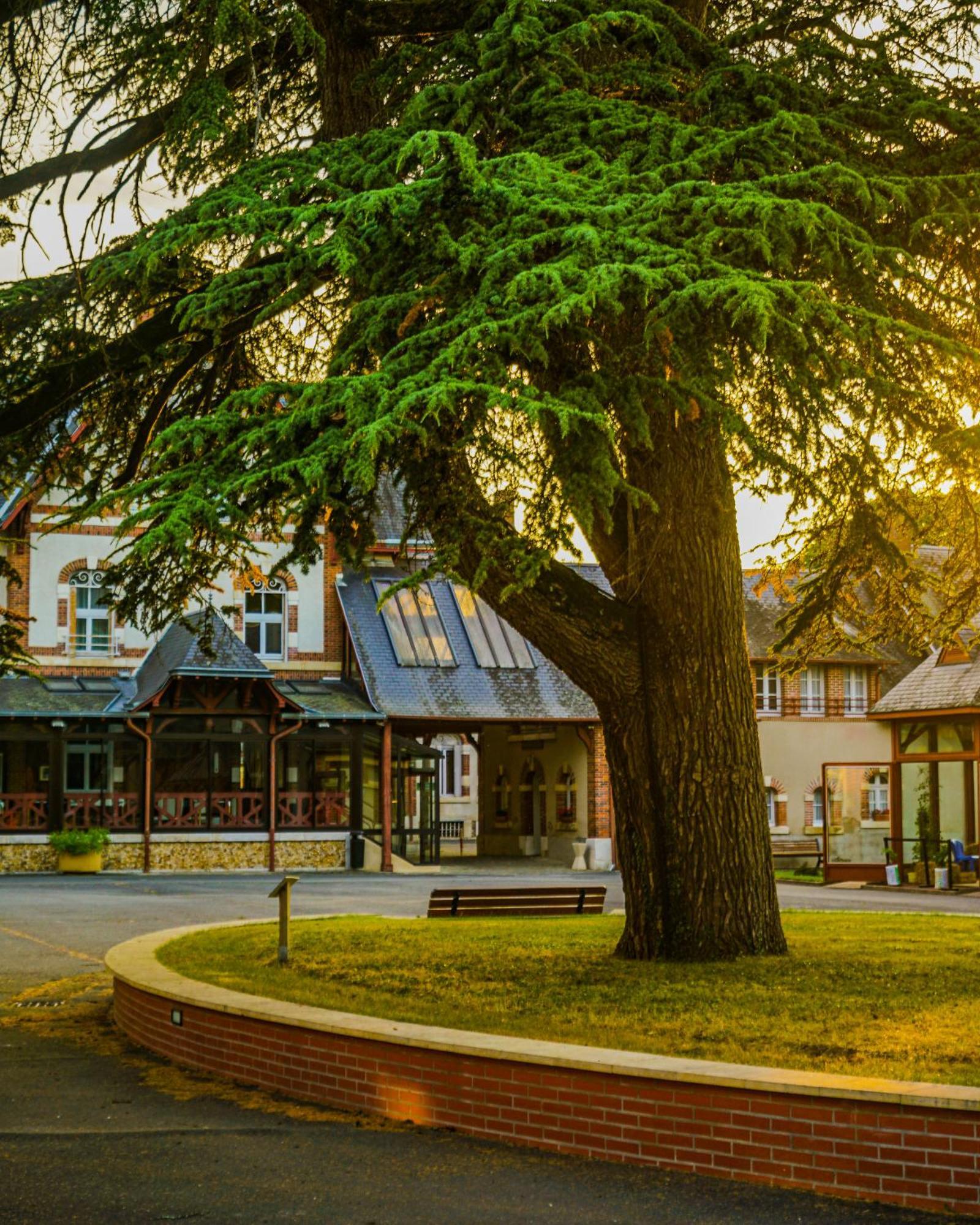 Hotel-Restaurant Domaine De La Grande Garenne Neuvy-sur-Barangeon Dış mekan fotoğraf